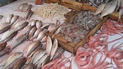  أسعار الأسماك اليوم، تراجع البلطي في سوق العبور
