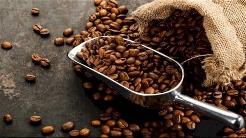 القهوة 