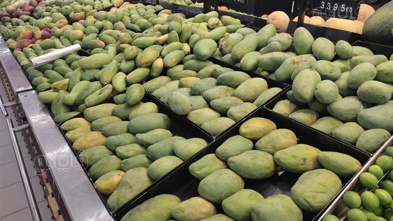 أسعار المانجو اليوم