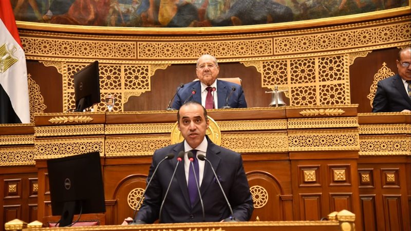 وزير الشئون النيابية،