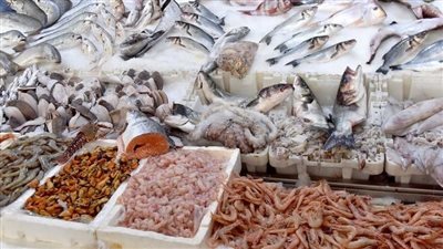txt