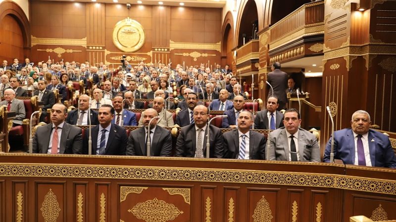 تشكيل اللجان النوعية