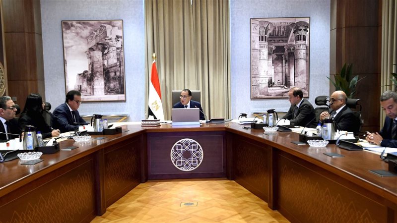 مجلس الوزراء، فيتو
