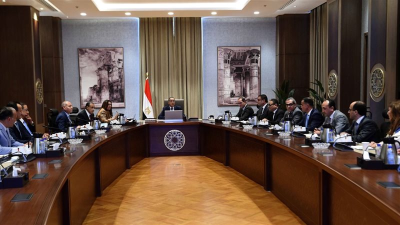 مجلس الوزراء، فيتو
