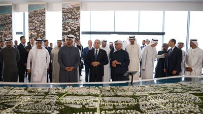 تفاصيل تطور الشراكة الاستراتيجية المصرية الإماراتية بقيادة السيسي وبن زايد