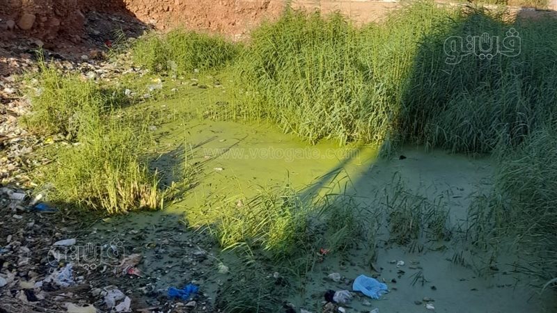 برك صرف صحى بأسوان