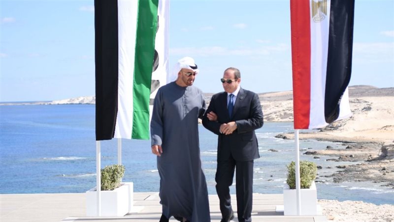 الرئيس السيسي، فيتو