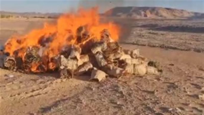 حدائق الشيطان..إبادة