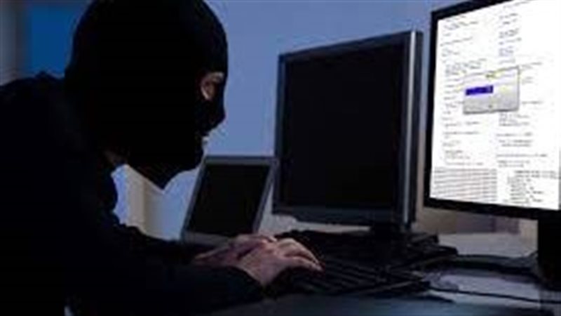 جرائم الانترنت، فيتو
