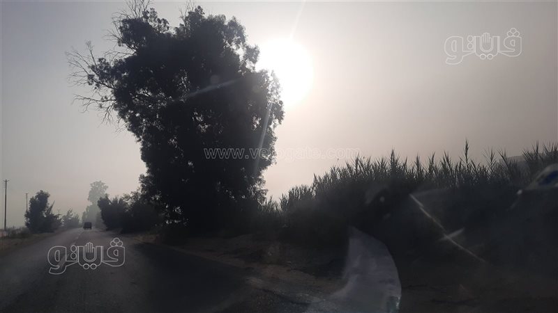 شبورة مائية بالإسماعيلية،