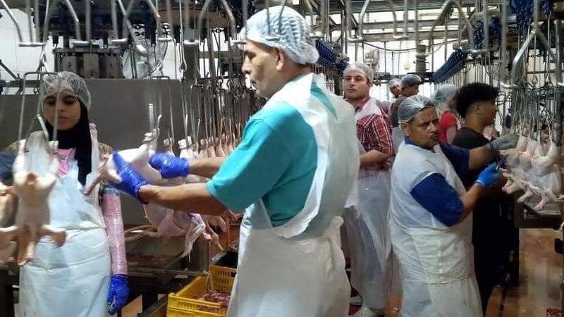 متابعات مكثفة لمجازر