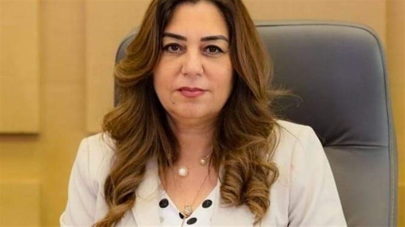 وزير التنمية المحلية،