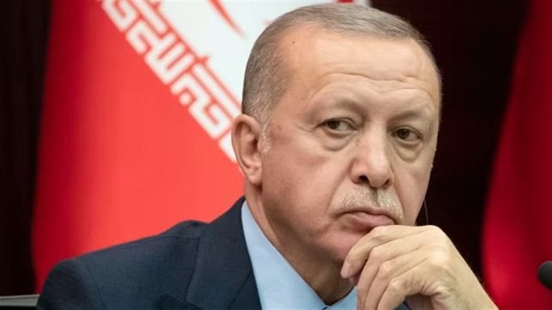 أردوغان، فيتو 