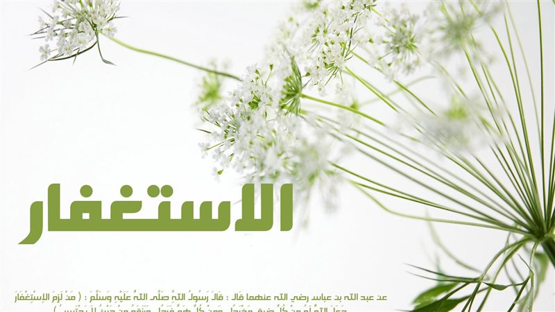 تعرف على فضائل كثرة