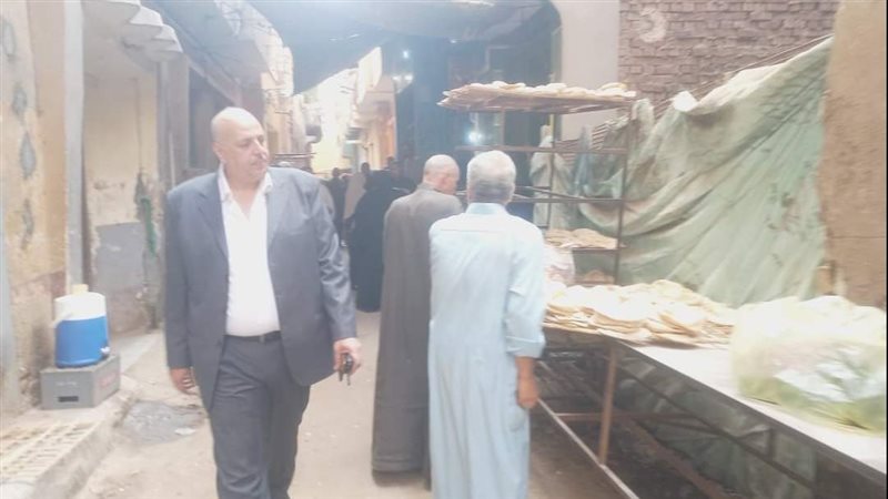 جولة رئيس ميت غمر