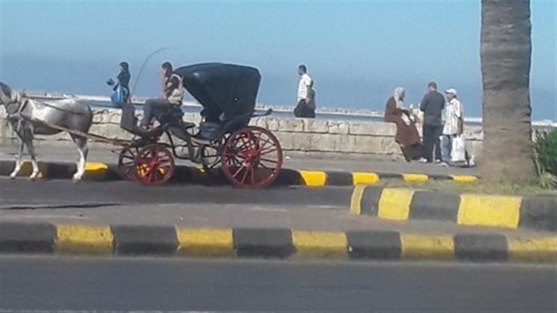 إعادة فتح طريق الجيش
