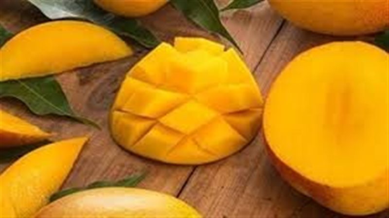 تفسير رؤية المانجو