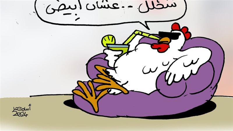ارتفاع أسعار البيض