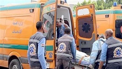إصابة سائق ومصرع زوجته في انقلاب سيارة بسوهاج 