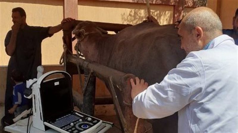 قافلة طبية بيطرية