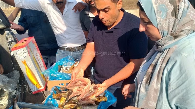 ضبط أسماك مدخنة رنجة