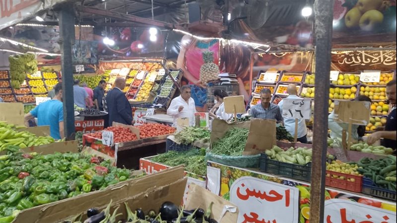 محافظ الدقهلية بمنافذ