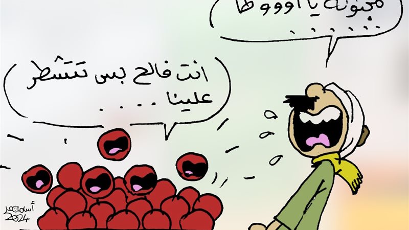 ارتفاع أسعار الطماطم