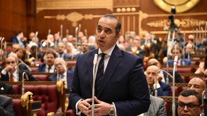 المستشار محمود فوزى،