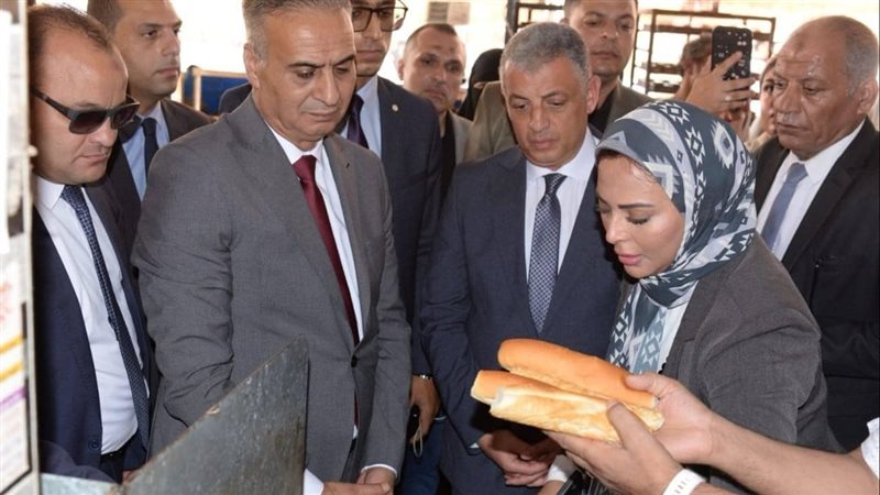 جانب من الحملات،