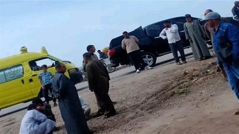 جرائم محافظة الشرقية،فيتو