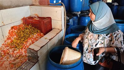 التحفظ علي 2 طن منتجات غذائية غير صالحة للاستهلاك الآدمي بالقليوبية 