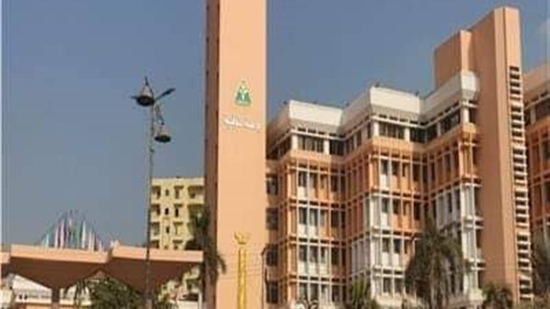 اليوم جامعة المنوفية