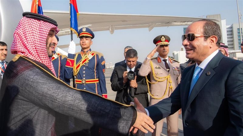 الرئيس السيسي وولي