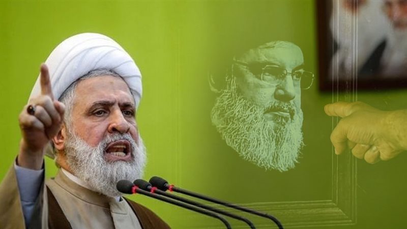نعيم قاسم، فيتو