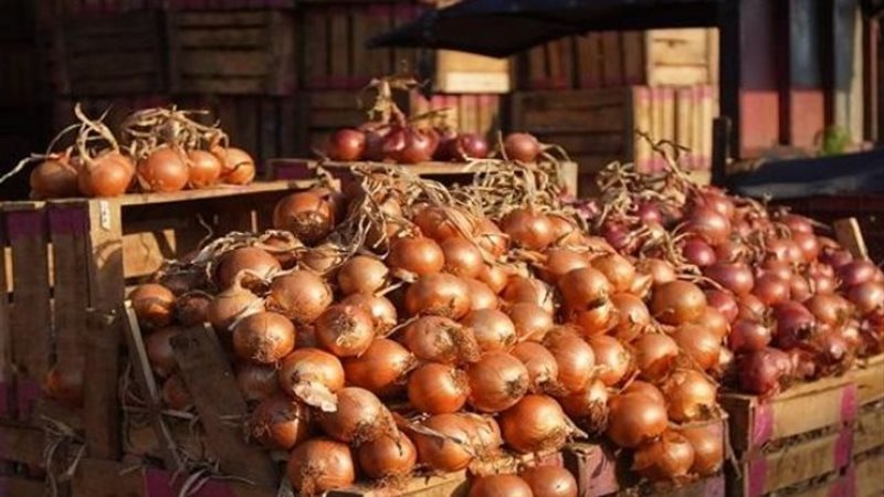 ارتفاع أسعار البصل