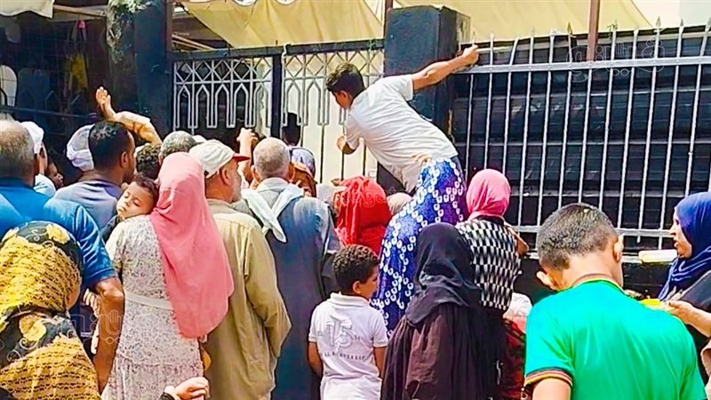 مولد شيخ العرب..