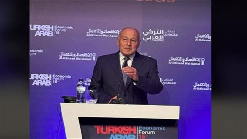 أحمد أبو الغيط، فيتو