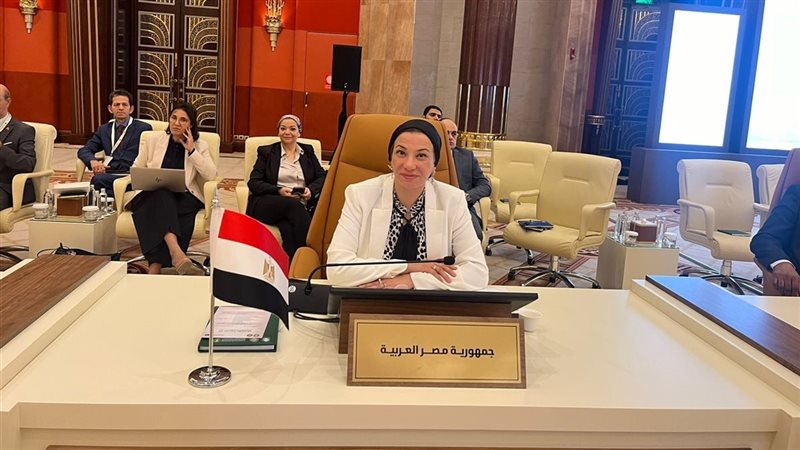 الدكتورة ياسمين فؤاد