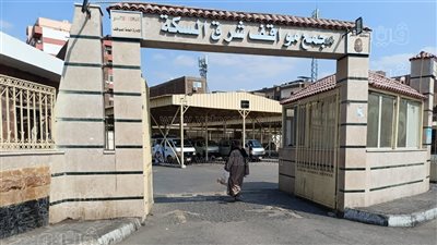 بعد زيادة أسعار الوقود، هدوء في مواقف سيارات الأجرة بالأقصر (فيديو)