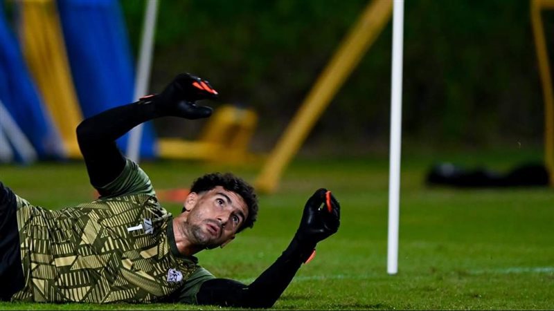 محمد عواد 