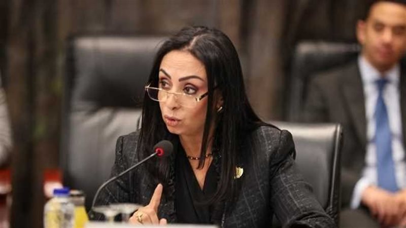وزيرة التضامن الاجتماعي،