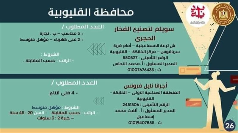 وظائف بالقليوبية،