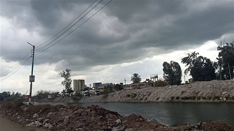 حالة الطقس غدا، فيتو