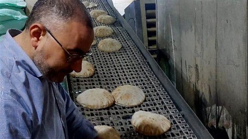 حملات تموينية بالدقهلية،