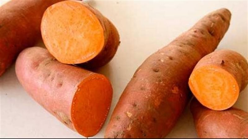فوائد البطاطا الحلوة