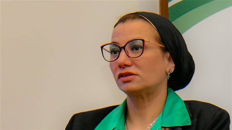 الدكتورة ياسمين فؤاد