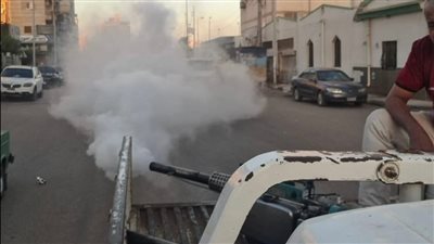 صحة البحيرة تواصل تكثيف أعمال المكافحة لناقلات الأمراض المعدية بشوارع المحافظة (صور)
