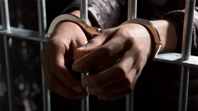 حبس عاطلين بالقليوبية،فيتو