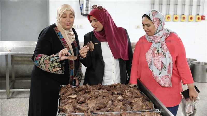 المدن الجامعية في