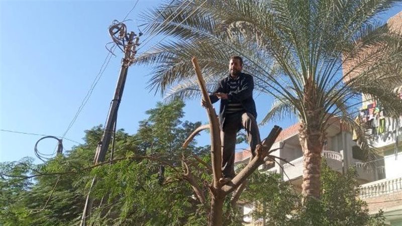  نشاط مكثف للاجهزة
